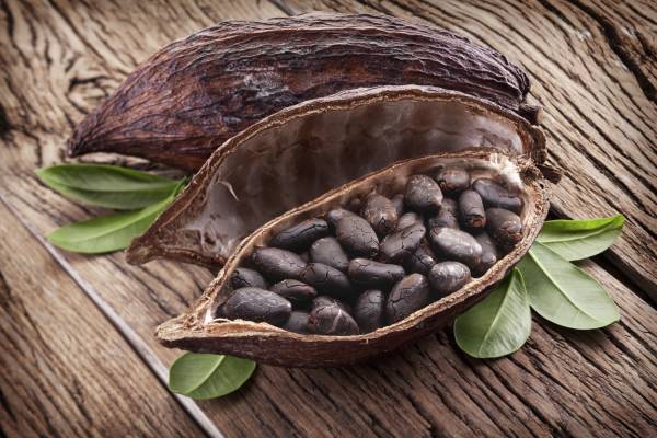 Lo sapevi che la granella di cacao crudo biologico può aumentare l'energia